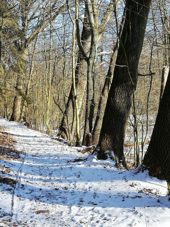 Zur Alten Eiche Stepenitz Dış mekan fotoğraf
