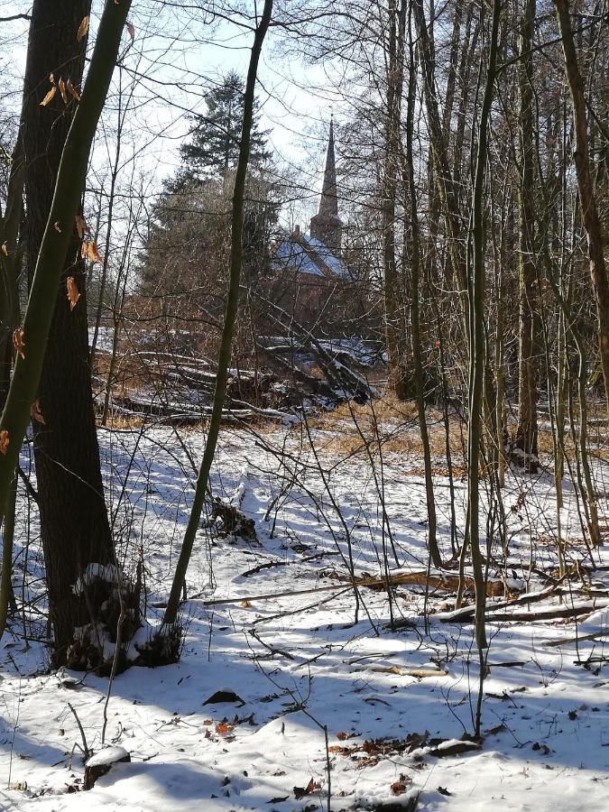 Zur Alten Eiche Stepenitz Dış mekan fotoğraf